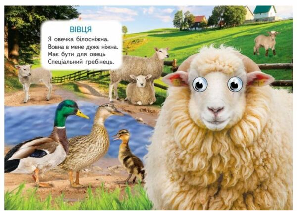 цікаві книжки з оченятами ферма картонки формат А6 Ціна (цена) 22.10грн. | придбати  купити (купить) цікаві книжки з оченятами ферма картонки формат А6 доставка по Украине, купить книгу, детские игрушки, компакт диски 2