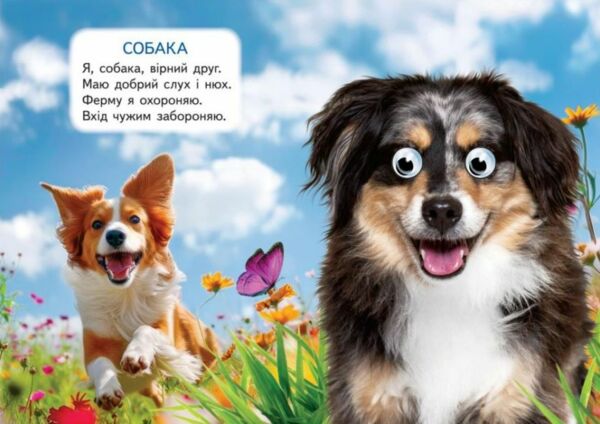 цікаві книжки з оченятами ферма картонки формат А6 Ціна (цена) 22.10грн. | придбати  купити (купить) цікаві книжки з оченятами ферма картонки формат А6 доставка по Украине, купить книгу, детские игрушки, компакт диски 3