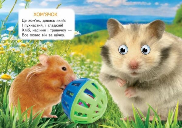 цікаві книжки з оченятами ферма картонки формат А6 Ціна (цена) 22.10грн. | придбати  купити (купить) цікаві книжки з оченятами ферма картонки формат А6 доставка по Украине, купить книгу, детские игрушки, компакт диски 4