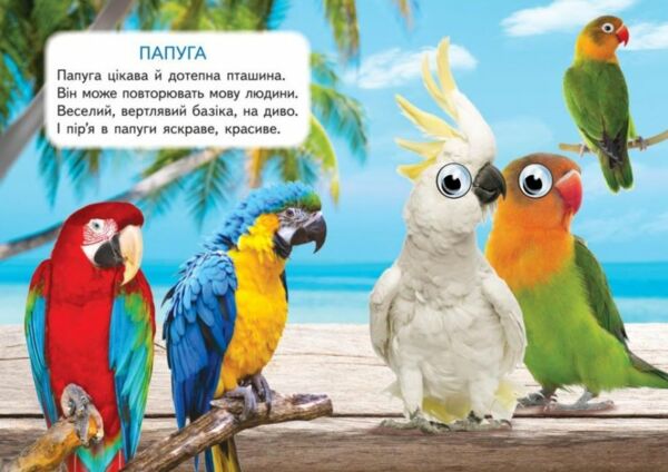 цікаві книжки з оченятами хатні улюбленці картонки формат А6 Ціна (цена) 22.10грн. | придбати  купити (купить) цікаві книжки з оченятами хатні улюбленці картонки формат А6 доставка по Украине, купить книгу, детские игрушки, компакт диски 2