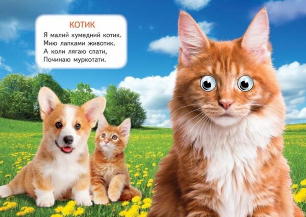 цікаві книжки з оченятами хатні улюбленці картонки формат А6 Ціна (цена) 22.10грн. | придбати  купити (купить) цікаві книжки з оченятами хатні улюбленці картонки формат А6 доставка по Украине, купить книгу, детские игрушки, компакт диски 1
