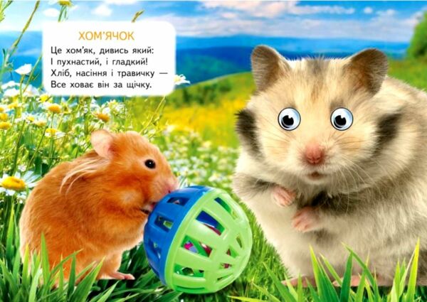 цікаві книжки з оченятами хатні улюбленці картонки формат А6 Ціна (цена) 22.10грн. | придбати  купити (купить) цікаві книжки з оченятами хатні улюбленці картонки формат А6 доставка по Украине, купить книгу, детские игрушки, компакт диски 4