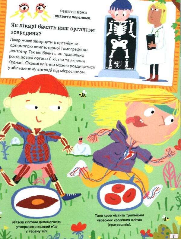 Хочу все знати про Тіло Ціна (цена) 365.30грн. | придбати  купити (купить) Хочу все знати про Тіло доставка по Украине, купить книгу, детские игрушки, компакт диски 3
