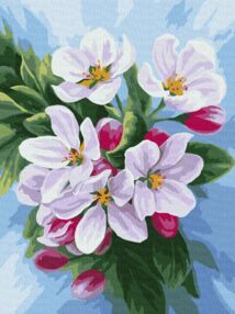 Розпис по номерах 30х40 КНО3240 Цвітіння яблуні "Ідейка"