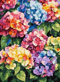Розпис по номерах 30х40 КНО3299 Різнокольорові гортензії "Ідейка"