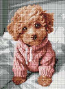 Алмазна мозаїка 30х40 АМО8138 Чарівний мальтіпу "Ідейка"