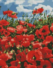 Алмазна мозаїка 40х50 АМО7056 Дивовижні маки "Ідейка" Алмазна мозаїка 40х50 АМО7056 Дивовижні маки "Ідейка"