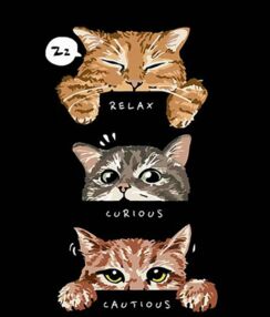 Розпис по номерах 30х40 FH-16 Трійка котів на чорному фоні "Strateg"