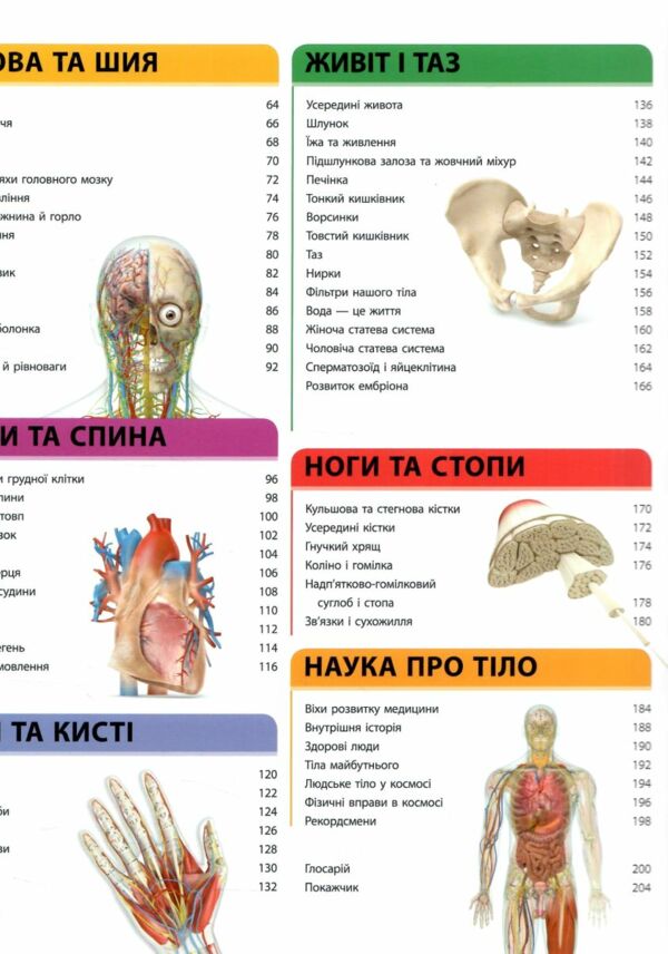 Енциклопедія знань Тіло людини (трошки прим'ятий кутик)  9786170993953 Ціна (цена) 1 300.00грн. | придбати  купити (купить) Енциклопедія знань Тіло людини (трошки прим'ятий кутик)  9786170993953 доставка по Украине, купить книгу, детские игрушки, компакт диски 8