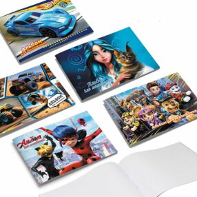 альбом 24 аркушів / 120 гр на скобі в асортименті 902053