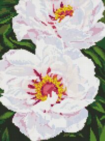 Алмазна мозаїка 30х40 АМО7753 Білі півонії "Ідейка"