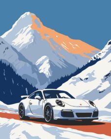 Розпис по номерах 40х50 12505-АС Porsche 911 "Art Craft" арт крафт