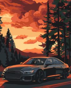 Розпис по номерах 40х50 12513-АС Комфортна поїздка "Art Craft" арт крафт