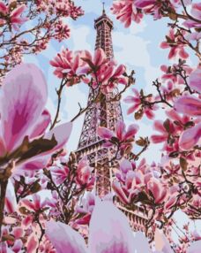 Розпис по номерах 40х50 13082-АС Весна в Парижі "Art Craft" арт крафт