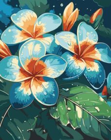 Розпис по номерах 40х50 13147-АС Плюмерії "Art Craft" арт крафт