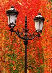 Алмазна мозаїка б/підрамн 30х40 JSDF72470 Осінні фарби "Strateg" Алмазна мозаїка б/підрамн 30х40 JSDF72470 Осінні фарби "Strateg"