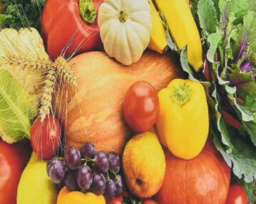 Алмазна мозаїка 30х40 HEG87052 Світ смаків "Strateg"