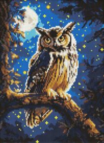 Алмазна мозаїка 30х40 АМО8160 Нічна сова з АВ стразами "Ідейка"