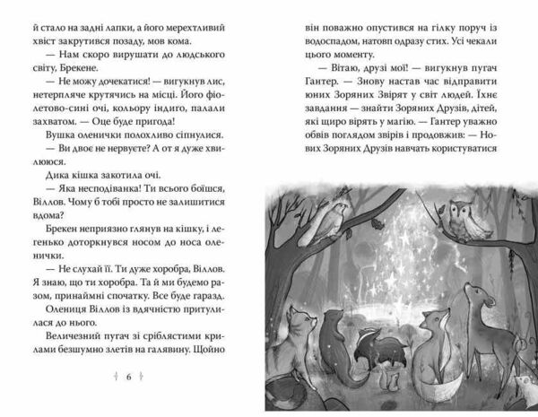 Зоряні Друзі Книга 1 Зачароване дзеркало Ціна (цена) 155.87грн. | придбати  купити (купить) Зоряні Друзі Книга 1 Зачароване дзеркало доставка по Украине, купить книгу, детские игрушки, компакт диски 2