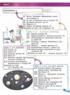 Довкілля 5 клас підручник нуш Григорович Ціна (цена) 509.80грн. | придбати  купити (купить) Довкілля 5 клас підручник нуш Григорович доставка по Украине, купить книгу, детские игрушки, компакт диски 1