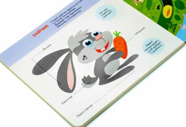 Картонки Це цікаво Ми у лісі Ціна (цена) 354.00грн. | придбати  купити (купить) Картонки Це цікаво Ми у лісі доставка по Украине, купить книгу, детские игрушки, компакт диски 2