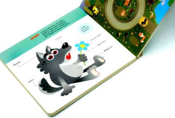 Картонки Це цікаво Ми у лісі Ціна (цена) 354.00грн. | придбати  купити (купить) Картонки Це цікаво Ми у лісі доставка по Украине, купить книгу, детские игрушки, компакт диски 4