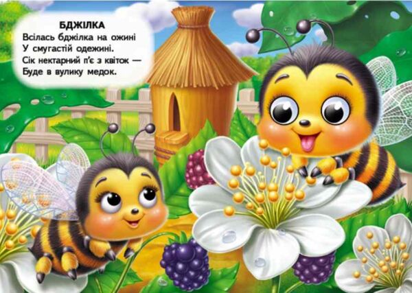 цікаві книжки з оченятами Комашки Забавлянки картонка формат А6 Ціна (цена) 26.40грн. | придбати  купити (купить) цікаві книжки з оченятами Комашки Забавлянки картонка формат А6 доставка по Украине, купить книгу, детские игрушки, компакт диски 1