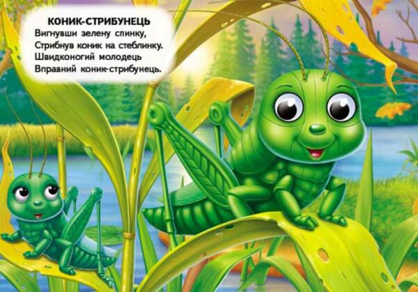 цікаві книжки з оченятами Комашки Забавлянки картонка формат А6 Ціна (цена) 26.40грн. | придбати  купити (купить) цікаві книжки з оченятами Комашки Забавлянки картонка формат А6 доставка по Украине, купить книгу, детские игрушки, компакт диски 4