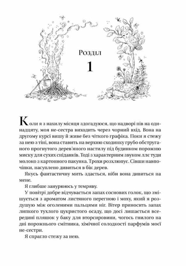 Викрадений спадкоємець Ціна (цена) 431.90грн. | придбати  купити (купить) Викрадений спадкоємець доставка по Украине, купить книгу, детские игрушки, компакт диски 8