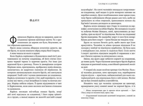 Хлопці кладовища Ціна (цена) 383.40грн. | придбати  купити (купить) Хлопці кладовища доставка по Украине, купить книгу, детские игрушки, компакт диски 1