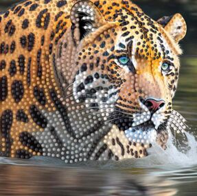 Алмазна мозаїка 18х18 ZAV1818-7 Тигриця "Strateg"