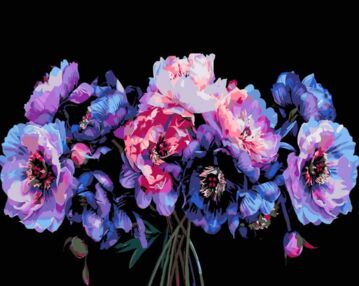 Розпис по номерах 40х50 AH1158 Магія в кольорі на чорному фоні "Strateg"