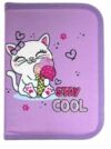 Пенал CLASS 1 відділення на блискавці Cool Kitten 25002C Ціна (цена) 147.60грн. | придбати  купити (купить) Пенал CLASS 1 відділення на блискавці Cool Kitten 25002C доставка по Украине, купить книгу, детские игрушки, компакт диски 0