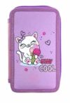 Пенал CLASS 25302C 2 відд на блискавці Cool Kitten Ціна (цена) 238.80грн. | придбати  купити (купить) Пенал CLASS 25302C 2 відд на блискавці Cool Kitten доставка по Украине, купить книгу, детские игрушки, компакт диски 1