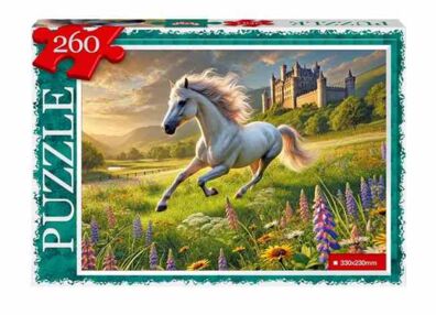 Пазли 260 елементів С260-14-03