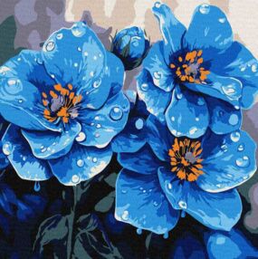 Розпис по номерах 30х30 КНО3317 Фіалки щоранку "Ідейка"