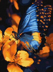 Розпис по номерах 30х40 КНО6731 Мерехтіння крил "Ідейка"