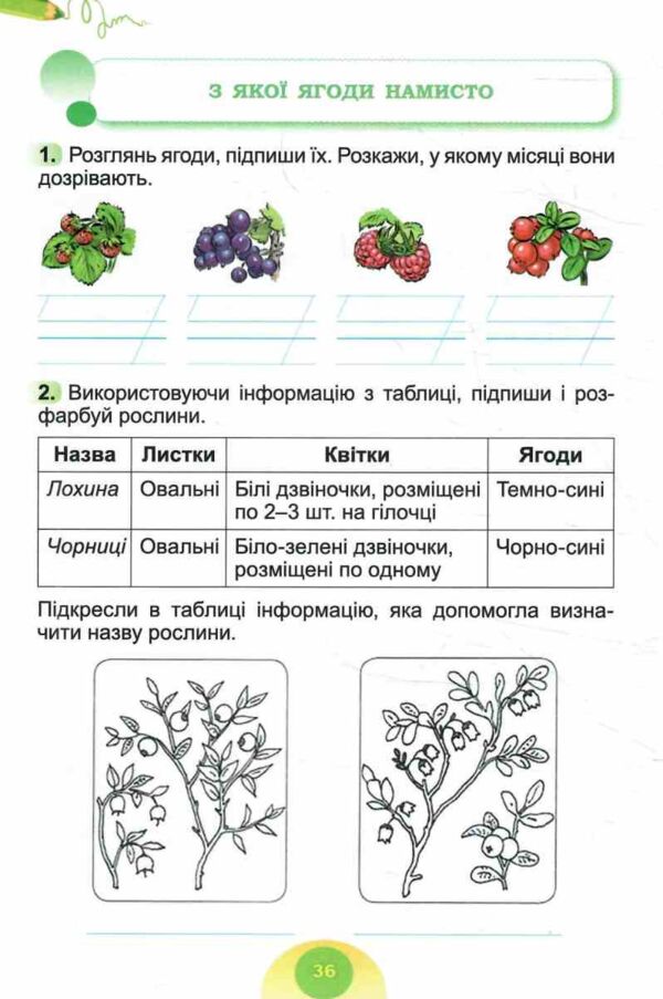 Я досліджую світ 2 клас зошит-практикум частина 2 Ціна (цена) 51.00грн. | придбати  купити (купить) Я досліджую світ 2 клас зошит-практикум частина 2 доставка по Украине, купить книгу, детские игрушки, компакт диски 5