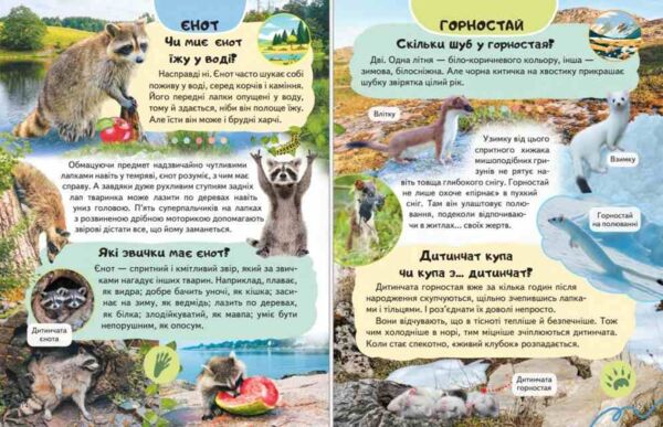 Енциклопедія Дикі тварини Ціна (цена) 64.00грн. | придбати  купити (купить) Енциклопедія Дикі тварини доставка по Украине, купить книгу, детские игрушки, компакт диски 4
