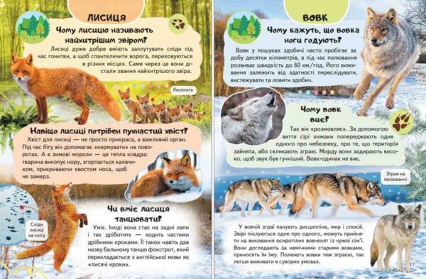 Енциклопедія Дикі тварини Ціна (цена) 64.00грн. | придбати  купити (купить) Енциклопедія Дикі тварини доставка по Украине, купить книгу, детские игрушки, компакт диски 1