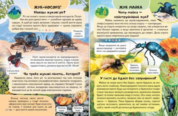 Енциклопедія Комахи та інші Ціна (цена) 64.00грн. | придбати  купити (купить) Енциклопедія Комахи та інші доставка по Украине, купить книгу, детские игрушки, компакт диски 3