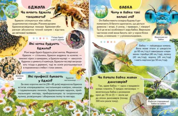 Енциклопедія Комахи та інші Ціна (цена) 64.00грн. | придбати  купити (купить) Енциклопедія Комахи та інші доставка по Украине, купить книгу, детские игрушки, компакт диски 2