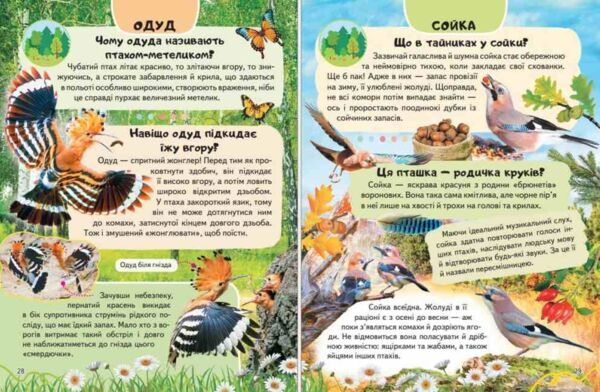 Енциклопедія Птахи Ціна (цена) 64.00грн. | придбати  купити (купить) Енциклопедія Птахи доставка по Украине, купить книгу, детские игрушки, компакт диски 3