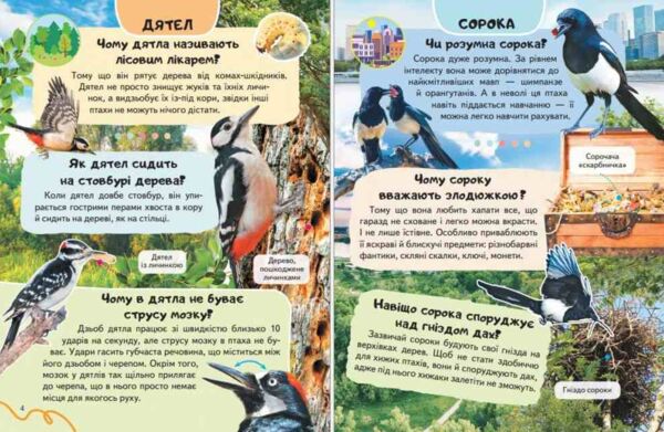 Енциклопедія Птахи Ціна (цена) 64.00грн. | придбати  купити (купить) Енциклопедія Птахи доставка по Украине, купить книгу, детские игрушки, компакт диски 1