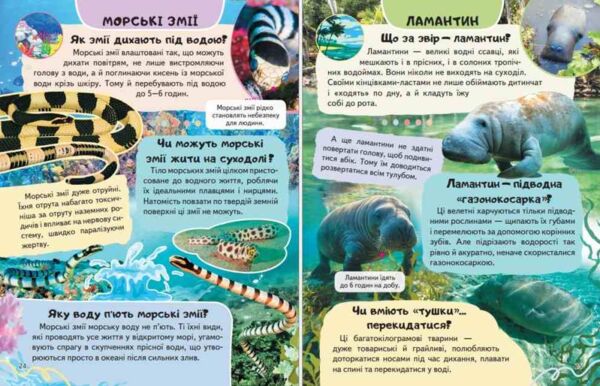 Енциклопедія Тварини водного світу Ціна (цена) 64.00грн. | придбати  купити (купить) Енциклопедія Тварини водного світу доставка по Украине, купить книгу, детские игрушки, компакт диски 4