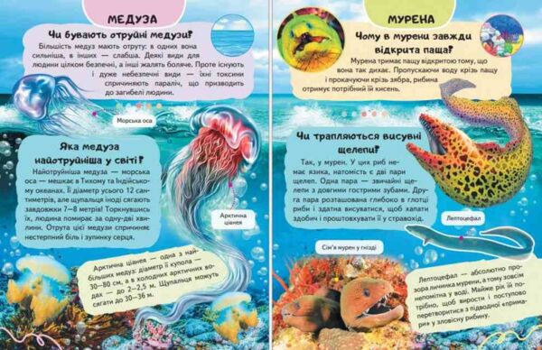 Енциклопедія Тварини водного світу Ціна (цена) 64.00грн. | придбати  купити (купить) Енциклопедія Тварини водного світу доставка по Украине, купить книгу, детские игрушки, компакт диски 3