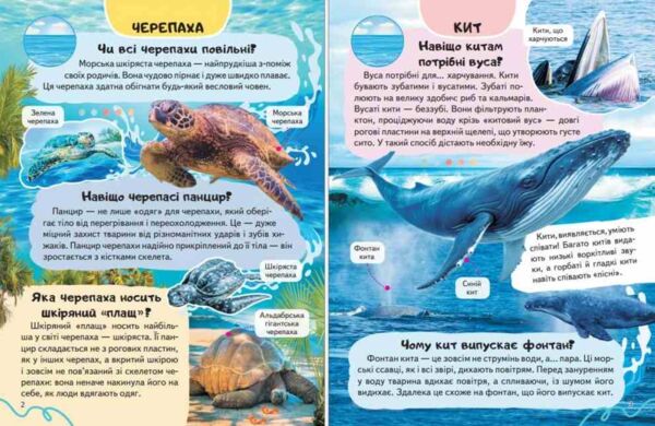 Енциклопедія Тварини водного світу Ціна (цена) 64.00грн. | придбати  купити (купить) Енциклопедія Тварини водного світу доставка по Украине, купить книгу, детские игрушки, компакт диски 1