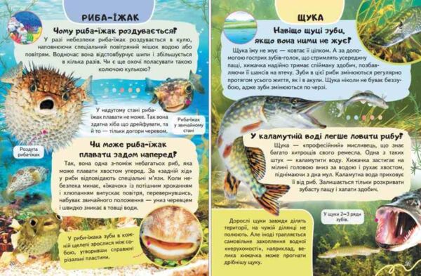 Енциклопедія Тварини водного світу Ціна (цена) 64.00грн. | придбати  купити (купить) Енциклопедія Тварини водного світу доставка по Украине, купить книгу, детские игрушки, компакт диски 5