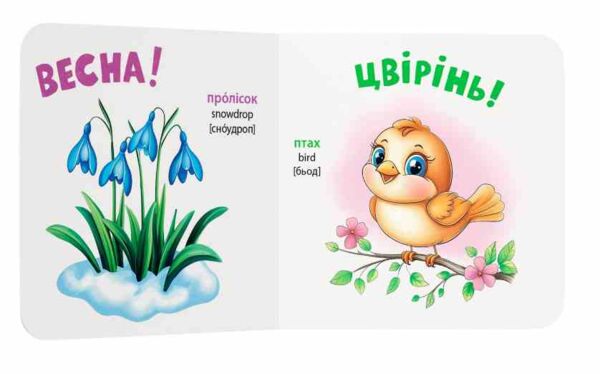 Розглядайка-розвивайка Пори року Ціна (цена) 55.54грн. | придбати  купити (купить) Розглядайка-розвивайка Пори року доставка по Украине, купить книгу, детские игрушки, компакт диски 2