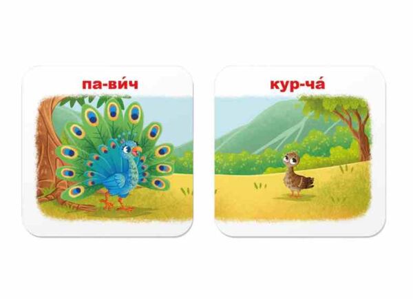 Розумні картки Зоопарк Хто чиє малятко? 30 карток Ціна (цена) 127.20грн. | придбати  купити (купить) Розумні картки Зоопарк Хто чиє малятко? 30 карток доставка по Украине, купить книгу, детские игрушки, компакт диски 2
